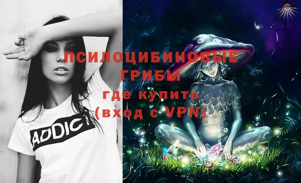 ALPHA-PVP Елизово