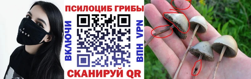 Галлюциногенные грибы MAGIC MUSHROOMS  Купить закладки  Пушкино 